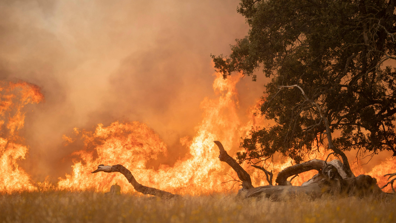 California fire burning land