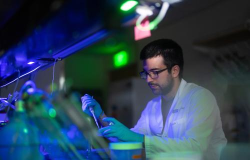 Researcher working in a UCLA immunology lab