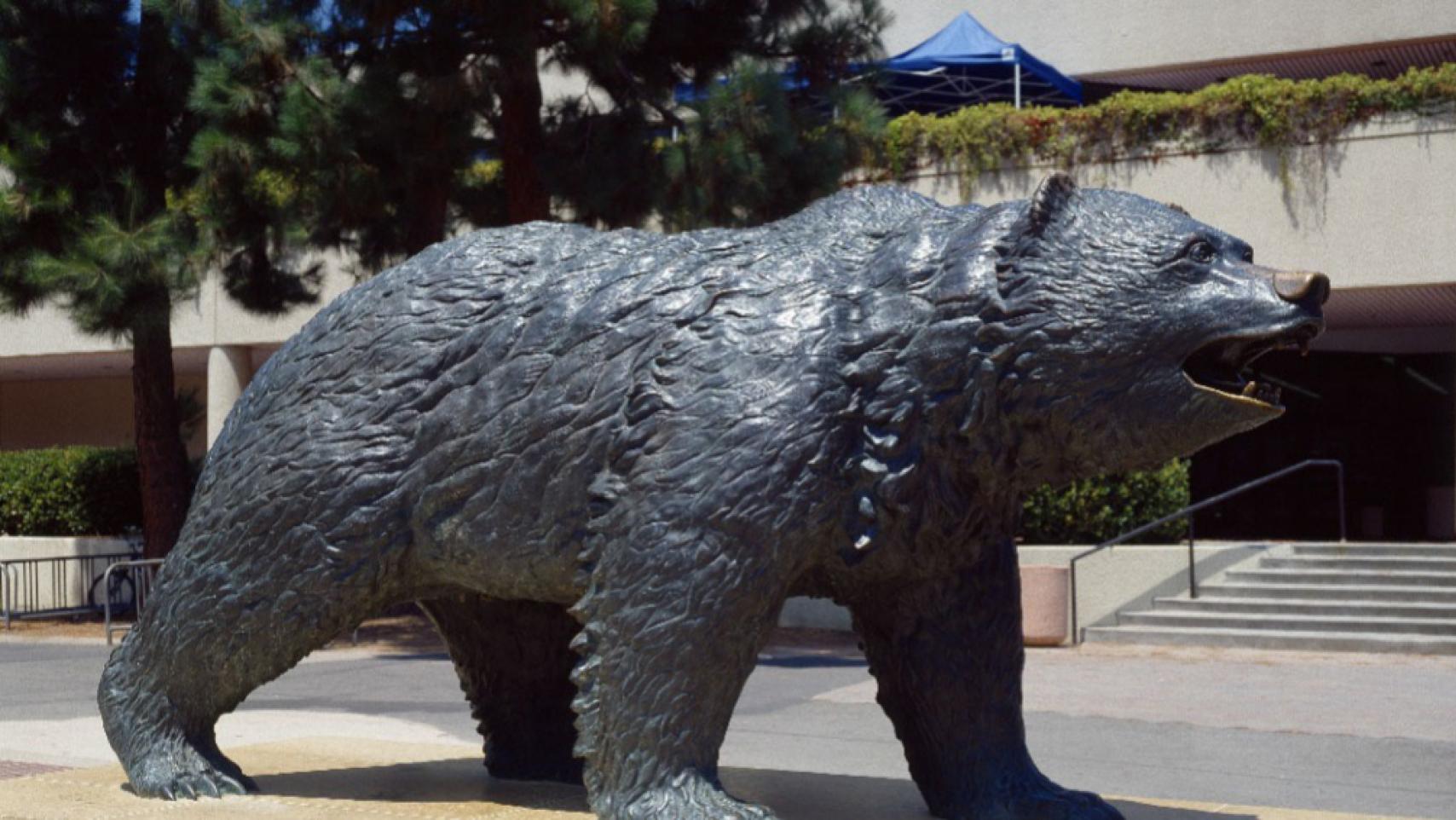 UCLA bear