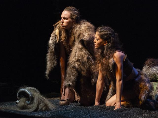 "Wild Women on Stage" Project