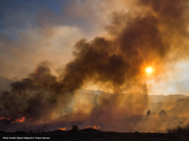 The Thomas Fire burns in the hills above Los Padres National Forest during a firing operation Wednesday Dec. 20, 2017.