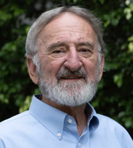 Professor Keith Holyoak